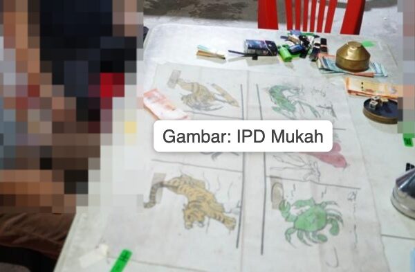 Empat lelaki dicekup main judi holo di rumah sarang burung