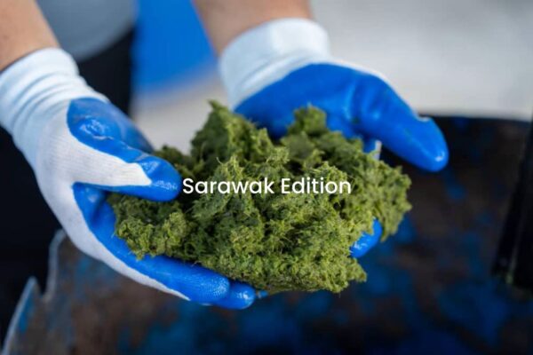 Penduduk raih pendapatan sampingan hasil jual ‘teparok’