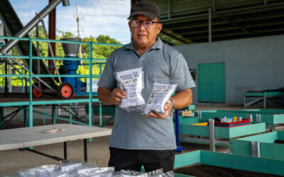 ‘Teparok’ jadi bahan mentah baja organik, makanan ternakan di Dalat