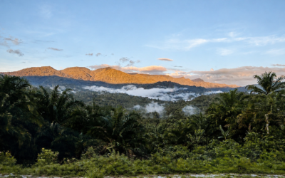 LINAWA, daripada masyarakat yang hidup di atas awan